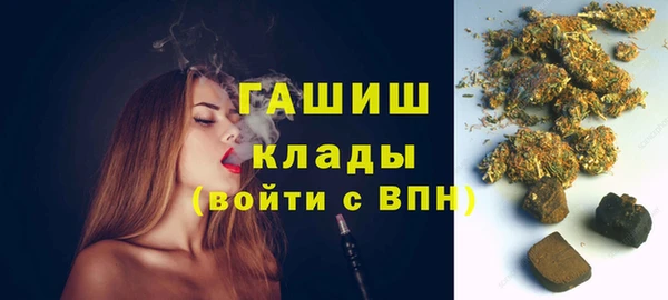 индика Аркадак