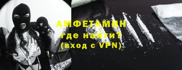индика Аркадак