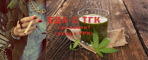 индика Аркадак