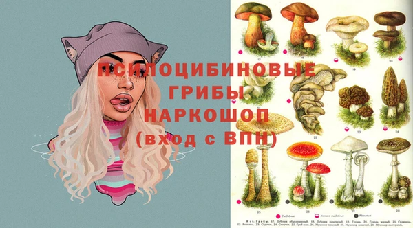 индика Аркадак
