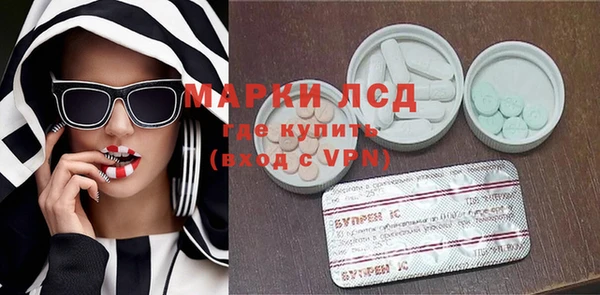 индика Аркадак