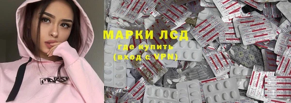 индика Аркадак