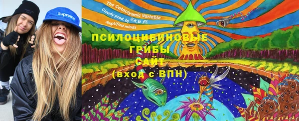 гидра Армянск